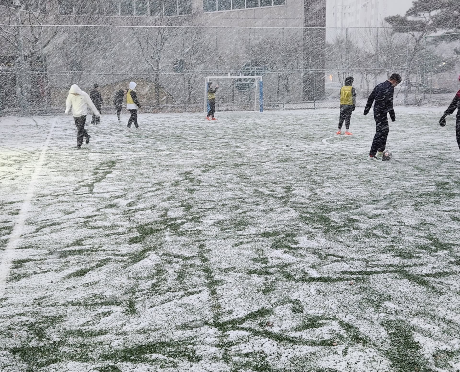 해외축구 처음 보는 사람을 위한 유럽 5대 리그 특징 정리